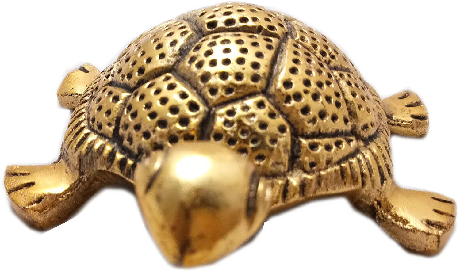 Feng Shui Golden Tortoise on Glass Plate for Good Luck Vaastu